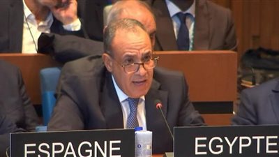 الخارجية تهنئ الرئيس السيسي والشعب المصري بفوز خالد العناني مديرًا لليونسكو