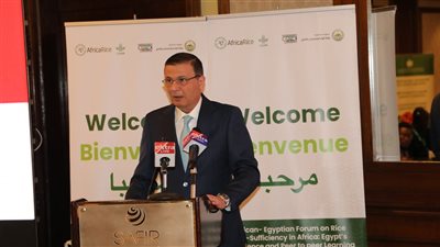 مصر تتفوق على العالم في الأرز.. وزير الزراعة يكشف السر