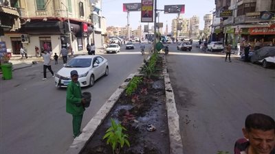 خطوات نحو مدينة خضراء.. الانتهاء من أعمال تشجير وزراعة 18 ألف شجرة في كفر الشيخ والدقهلية