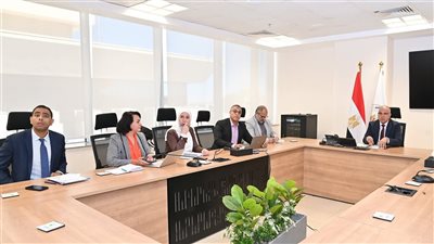 يوفر الحماية للأراضى الزراعية.. وزير الري يوجه باستمرار أعمال التأهيل بحائط رشيد