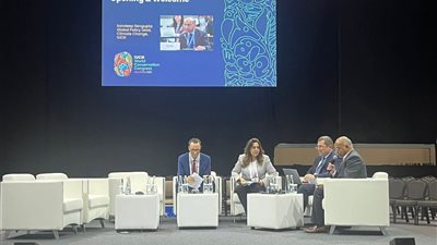 مصر تستثمر أكثر من 23 مليون دولار في مشروعات بيئية تعتمد على حلول متوائمة مع الطبيعة 