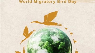 وزير البيئة تعلن إزالة 18 ألف متر من الشباك المخالفة لحماية الطيور المهاجرة