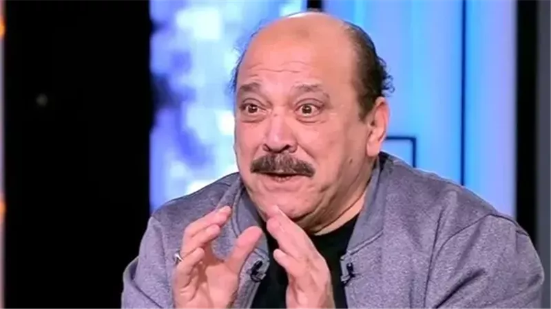 ضياء الميرغني