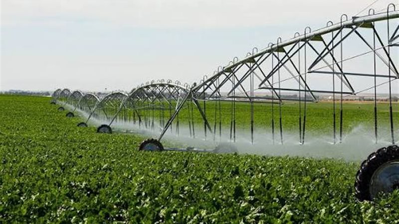 مشروعات التنمية في