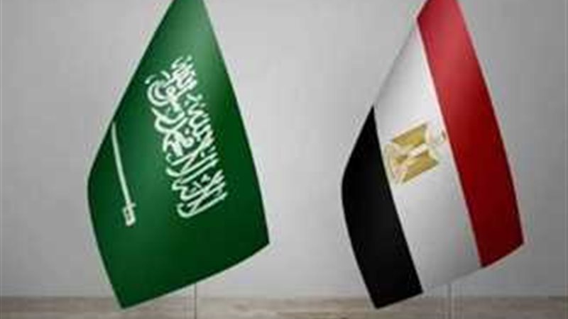 العلاقات المصرية