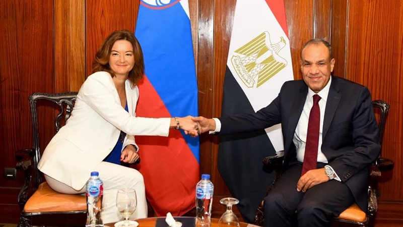 وزير الخارجية