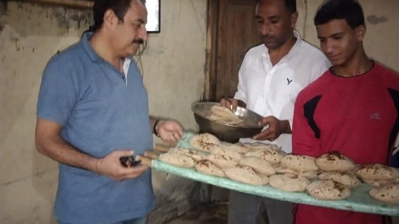 تموين المنيا