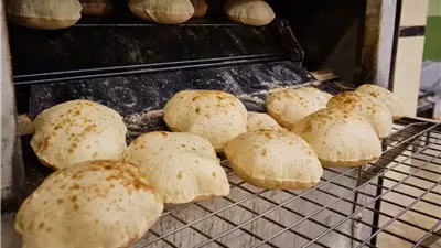 الزراعة: نستهدف زراعة 3.5 مليون فدان قمح لتحقيق الاكتفاء الذاتي من الخبز المدعم