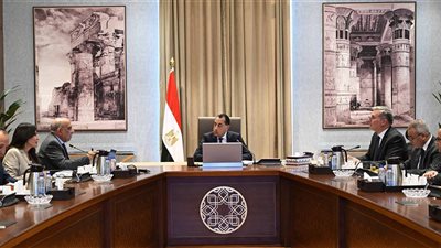 تفاصيل.. رئيس الوزراء يتابع الموقف التنفيذي لمشروعات الطاقات المتجددة