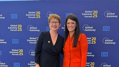 التخطيط: 4.5 مليار دولار تمويلات ميسرة للقطاع الخاص لمشروعات الطاقة المتجددة