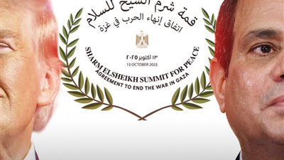 عضو بالشيوخ: قمة شرم الشيخ محطة تاريخية تُجسد ريادة مصر في إنهاء الحرب