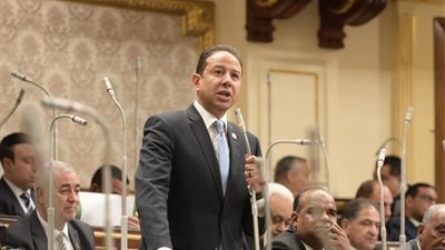 برلماني: قمة شرم الشيخ تمثل خارطة طريق لإنهاء العدوان على غزة