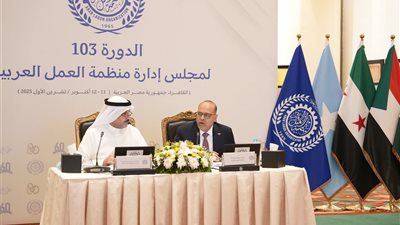 منظمة العمل العربية: نؤيد حق الشعب الفلسطيني في تقرير مصيره ونعمل لإعادة إعمار غزة