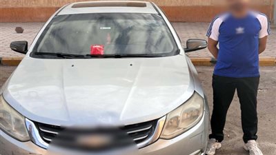 جريمة ضد الحيوان.. سائق يواجه التحقيق بعد تسميم كلاب بحدائق الأهرام