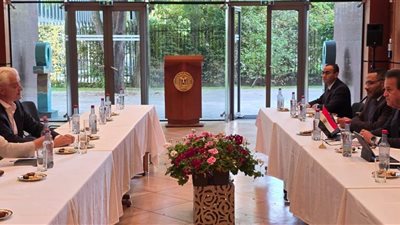 خالد عبدالغفار يبحث مع «سيمنز» تعزيز التعاون في التحول الرقمي الصحي بمصر