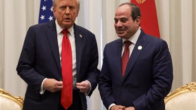 قيادي بالجبهة الوطنية: مصر أعادت الحياة للقضية الفلسطينية بعد قمة السلام