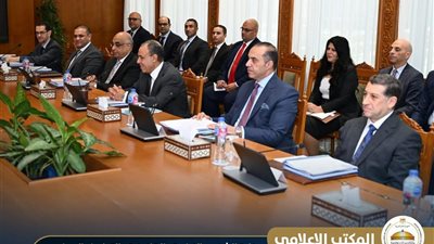 فوزي: أنهينا أول استحقاق دستوري بانتخابات الشيوخ ونتجه نحو استقرار ديمقراطي