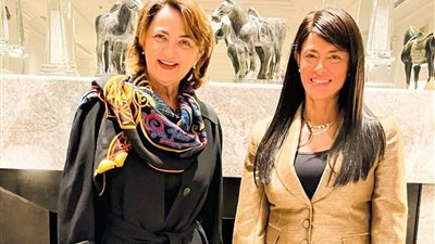 وزيرة التخطيط تبحث التعاون مع 