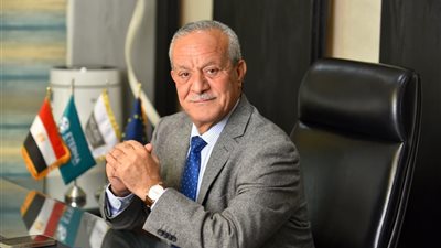 قيادي بالجبهة الوطنية: فوز مصر بعضوية مجلس حقوق الإنسان اعتراف دولي بجهود القاهرة