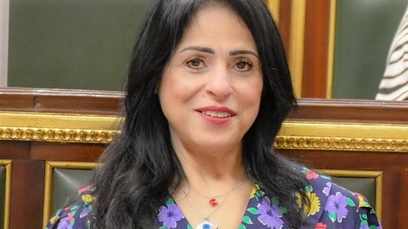 النائبة ميرال جلال
