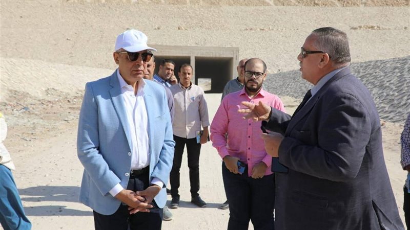 محافظ المنيا