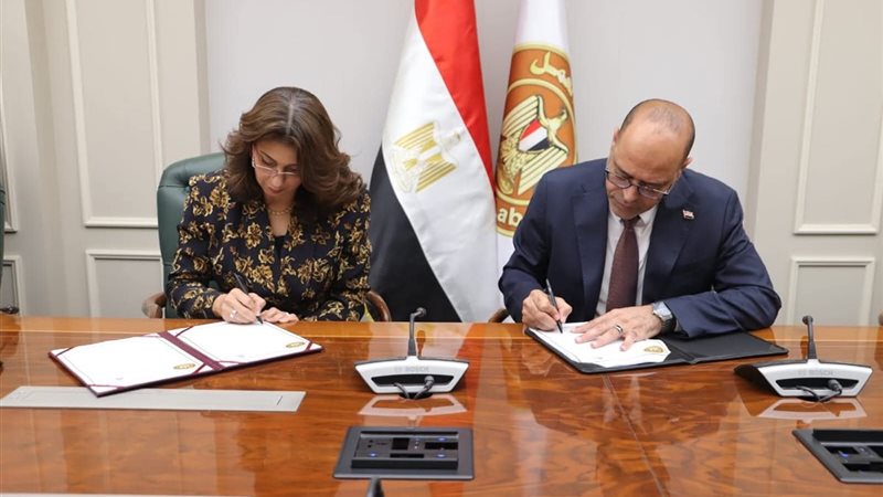 وزير العمل