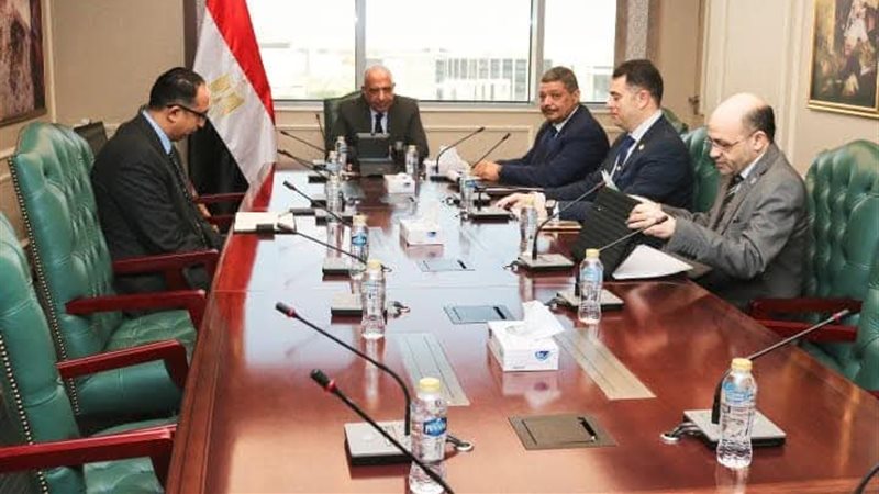 وزير الكهرباء