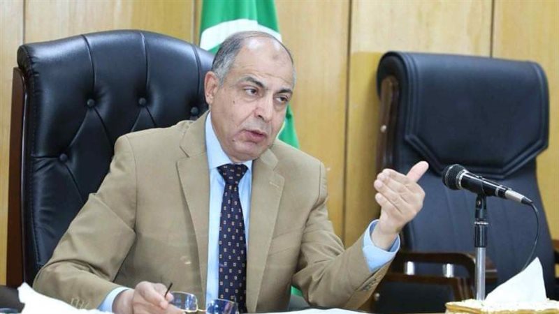 محافظ المنيا