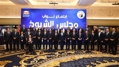 اجتماع لرئيس «حماة الوطن» مع أعضاء الحزب المعيّنين بمجلس الشيوخ