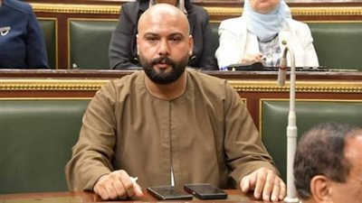 برلماني: مبادرات الرئيس تضع المواطن في قلب التنمية بعد تهميش الريف