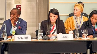 وزيرة التخطيط تحذر من اعتماد إفريقيا الكبير على واردات اللقاحات والأدوية