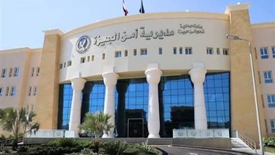 الرضيع بـ2500 جنيه.. ضبط فرد أمن احتال على سيدة عاقر بالطالبية