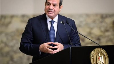 السيسي يبحث مع رئيس مجموعة «ميرسك» تعزيز الشراكة وتوسيع الاستثمارات في مصر