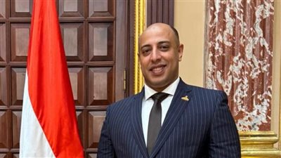 برلماني: الرئيس السيسي يقود تحركًا إنسانيًا وسياسيًا لصالح الشعب الفلسطيني