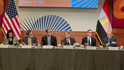 وزير المالية بواشنطن: الاقتصاد المصري ينمو بخطى جيدة ومشجعة