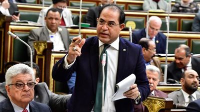 النائب سليمان وهدان: مجلس الشيوخ يشكل ركيزة أساسية في دعم المنظومة التشريعية