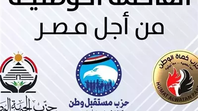 طعن رسمي ضد قائمة 