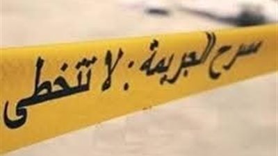طفل يقتل زميله ويحول جثته لأشلاء في الإسماعيلية.. والتحريات تكشف مفاجأة
