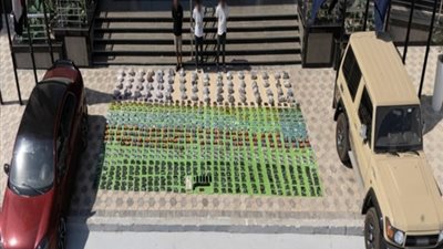 ضربة أمنية موجعة.. مصرع 3 عناصر إجرامية شديدة الخطورة وضبط مخدرات بـ72 مليون جنيه