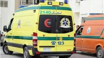 حادث دهس مروع في الشيخ زايد بعد مشاجرة طلابية داخل إحدى المدارس