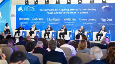 وزير الخارجية: الحفاظ على الدولة الوطنية السودانية أمر جوهري