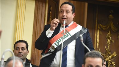 عضو لجنة إعمار غزة: دعم الشعب المصري للقطاع يتجاوز الأطر الرسمية