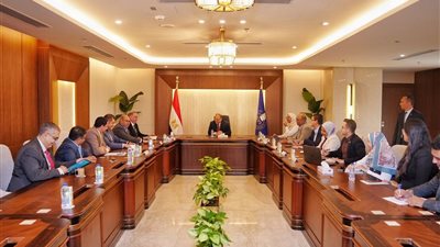 الغمراوي: مشروع الروشتة الرقمية ركيزة أساسية للتحول الرقمي في القطاع الصحي