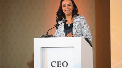 مايا مرسي في مؤتمر 