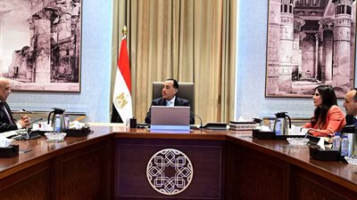 مدبولي يتابع مع وزير الكهرباء جهود مشروعات الطاقة النووية والمتجددة