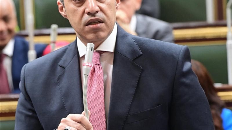 المستشار محمود فوزي