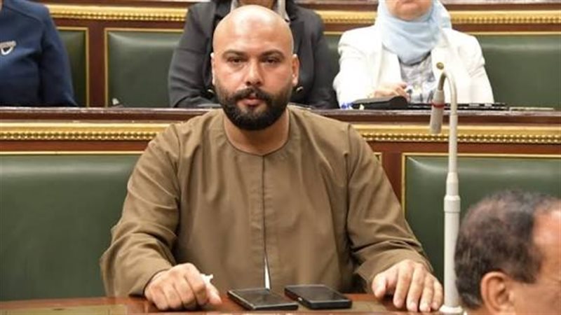 النائب إبراهيم الديب