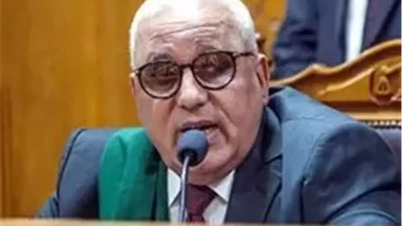 المستشار محمد السعيد