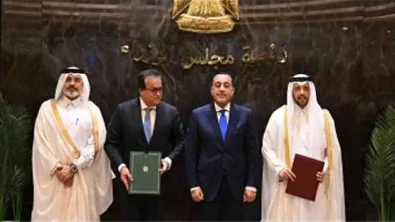 تفصيلة
