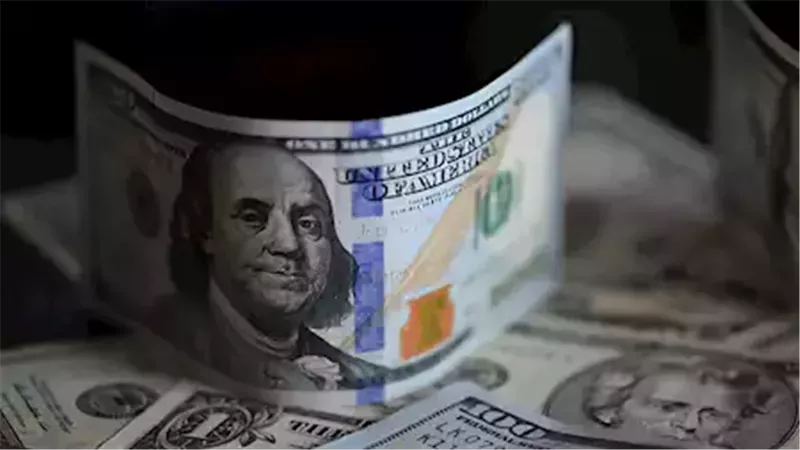 سعر الدولار في مصر